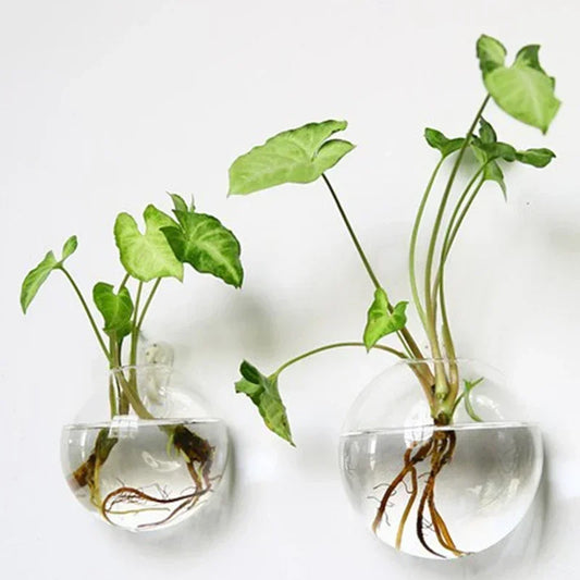 Hanging Terrarium Vase