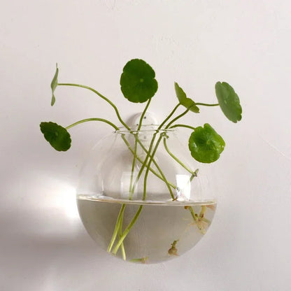 Hanging Terrarium Vase