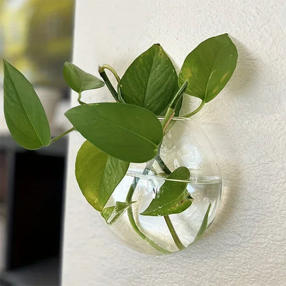 Hanging Terrarium Vase