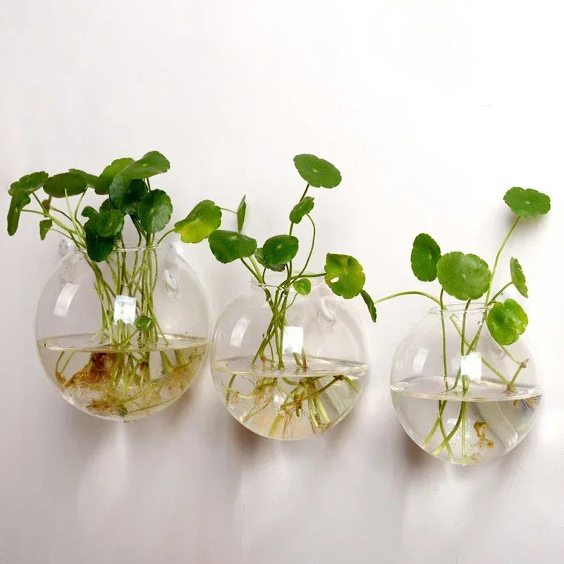 Hanging Terrarium Vase